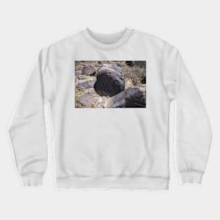 850_8482 Crewneck Sweatshirt